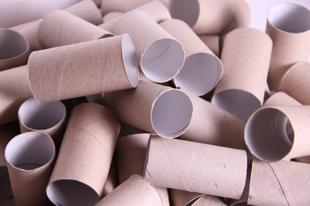 Make Money Selling Your Old Toilet Rolls MoneyMagpie