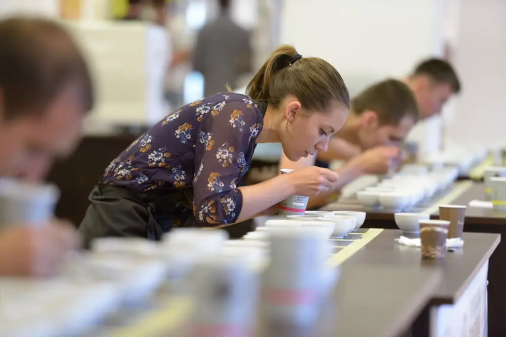 Get paid to test food...yes, even chocolate