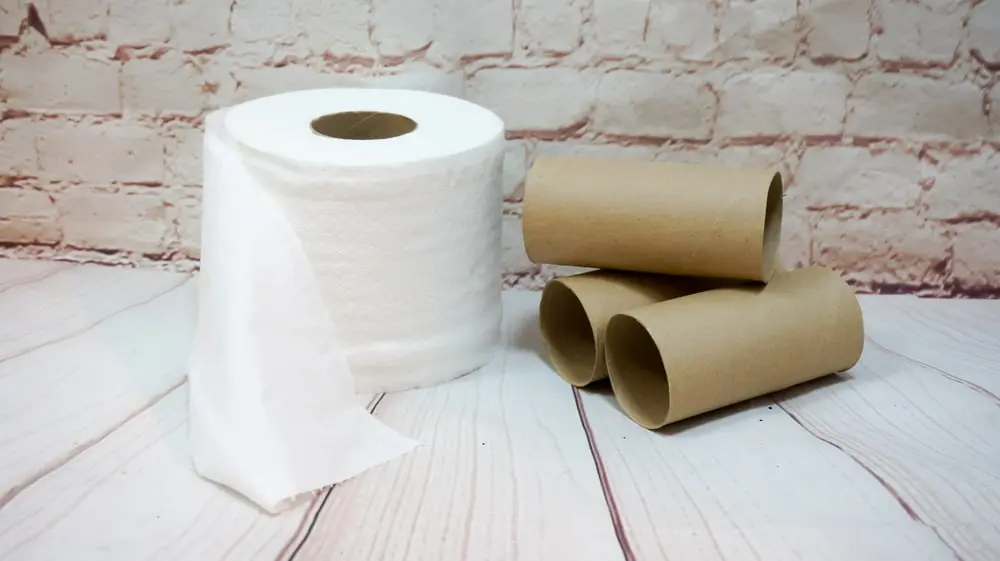 Donate your paper towel and toilet paper tubes!