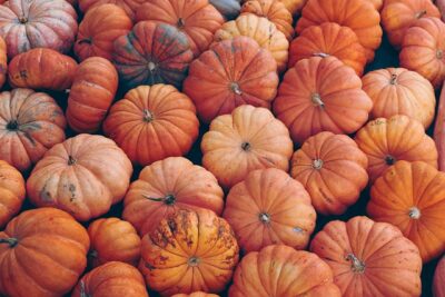 Where to Get the Cheapest Pumpkin