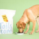 Tails.com dog food